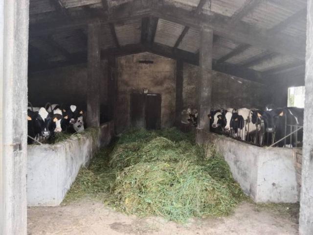 Local Comercial en alquiler en Santa María De Cayón, Cantabria