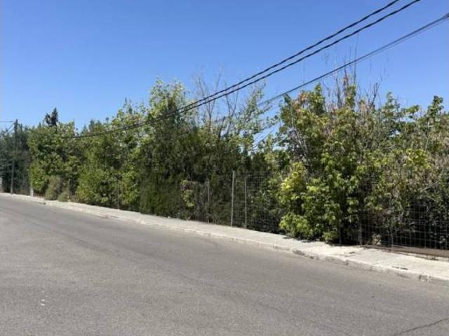 Local Comercial en alquiler en Tàrrega, Lleida