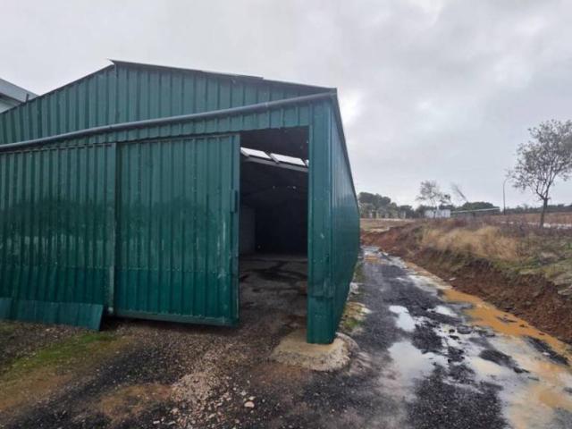 Local Comercial en alquiler en Valdeolmos-alalpardo, Madrid