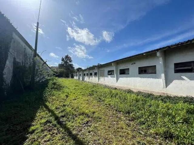 Local Comercial en alquiler en Lago, Ferrol