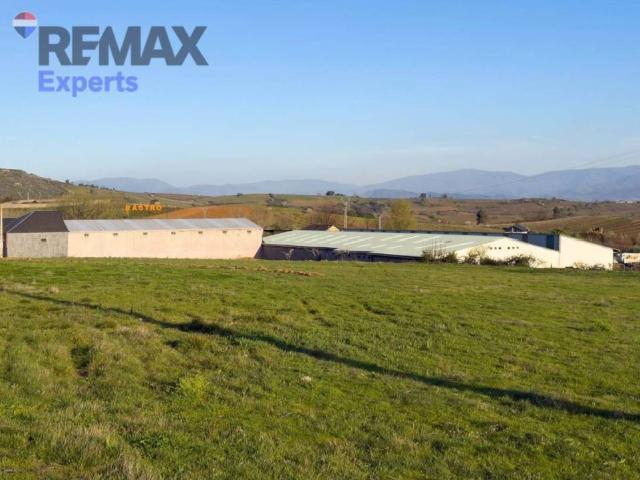 Local Comercial en alquiler en El Bierzo, Castilla y León