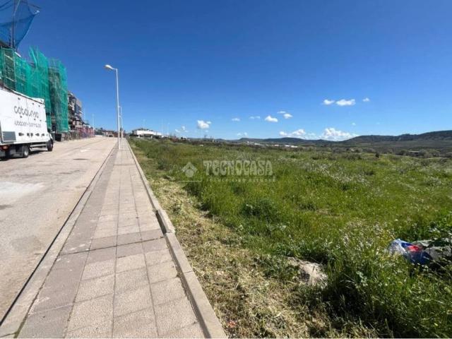 Local Comercial en alquiler en Villalbilla, Madrid