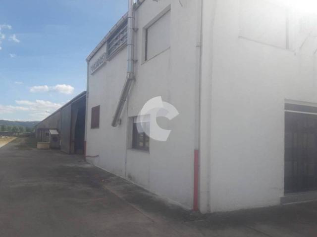 Local Comercial en alquiler en A Limia, Galicia