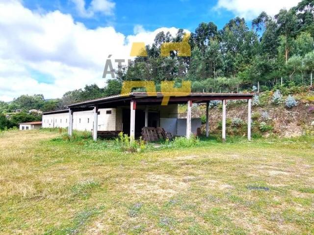 Local Comercial en venta en A Lama