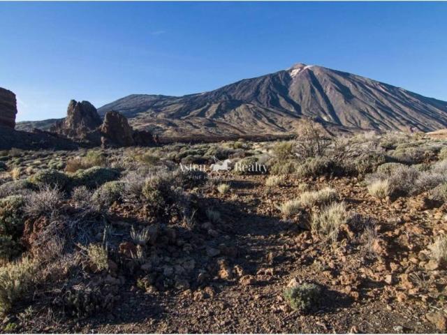 Local Comercial en venta en Adeje, Canarias