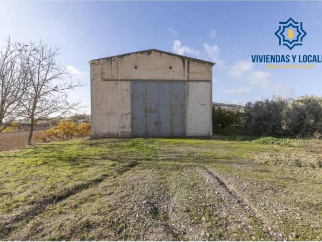 Local Comercial en venta en Albolote