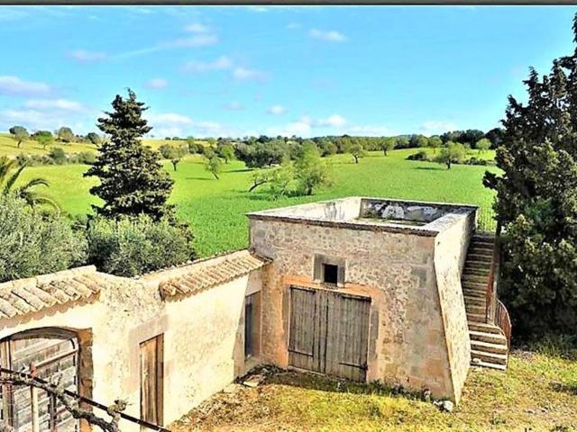 Local Comercial en venta en Pla de Mallorca, Baleares