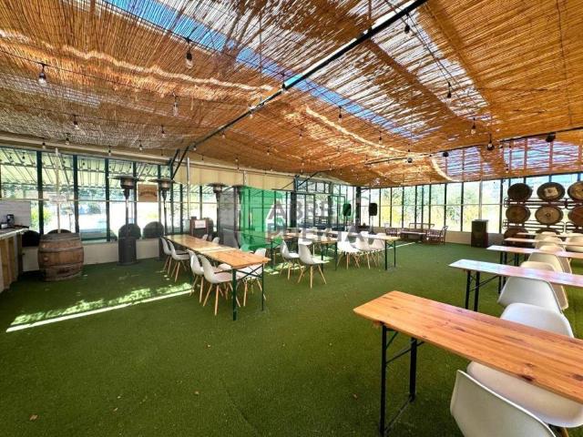 Local Comercial en venta en Allariz-Maceda, Galicia