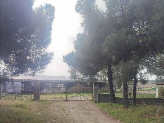 Local Comercial en venta en Almoharín, Extremadura