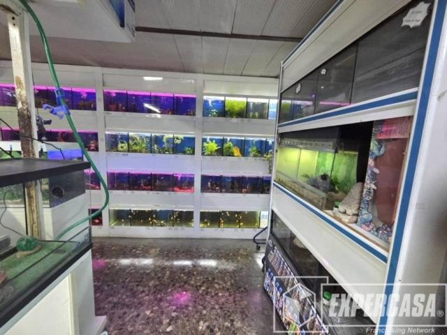 Local Comercial en venta en Alzira, València / Valencia