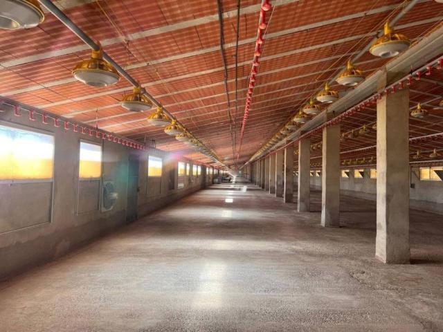 Local Comercial en venta en La Serranía, Valencia