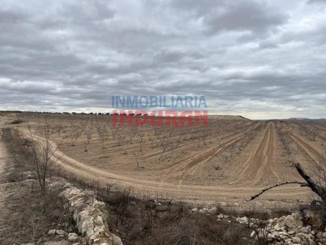 Local Comercial en venta en Aranjuez, Madrid