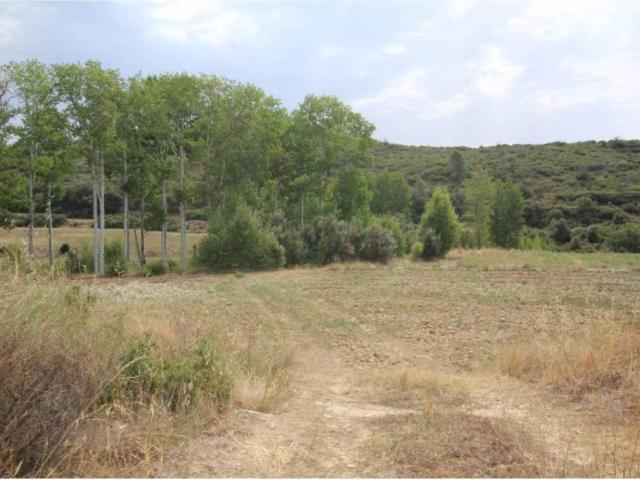 Local Comercial en venta en Cinco Villas, Aragón