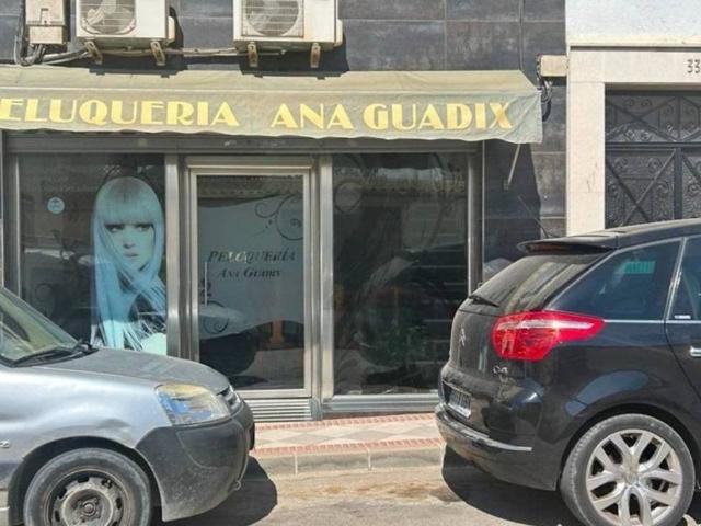 Local Comercial en venta en Comarca de la Vega de Granada, Andalucía