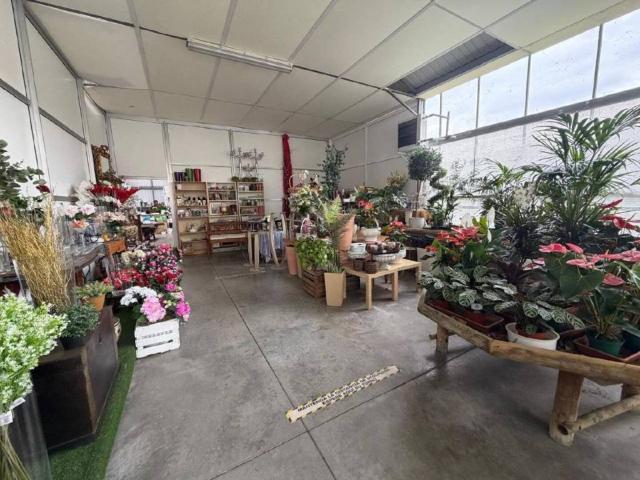 Local Comercial en venta en Erriberagoiena / Ribera Alta, Navarra