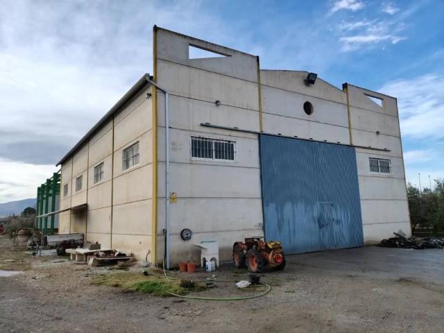 Local Comercial en venta en Comarca de Baza, Andalucía