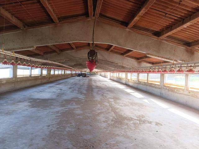 Local Comercial en venta en Baix Empordà, Catalunya