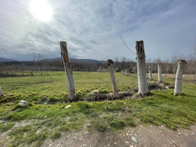 Local Comercial en venta en El Bierzo, Castilla y León
