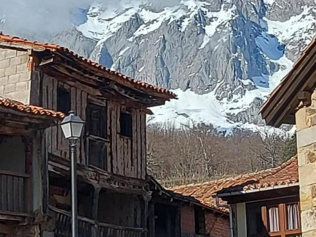 Local Comercial en venta en Camaleño