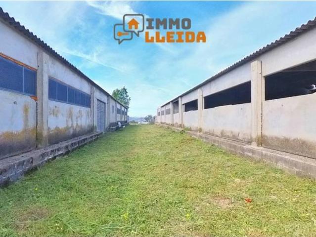 Local Comercial en venta en Noguera, Catalunya