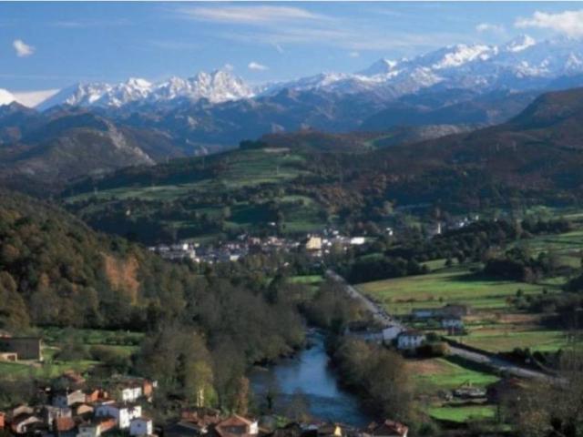 Local Comercial en venta en Cangas De Onís, Asturias