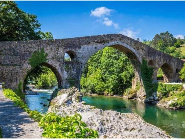 Local Comercial en venta en Cangas De Onís, Asturias