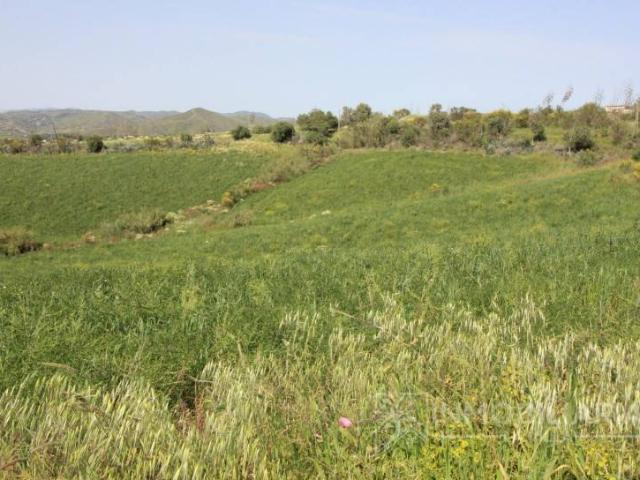 Local Comercial en venta en Cártama