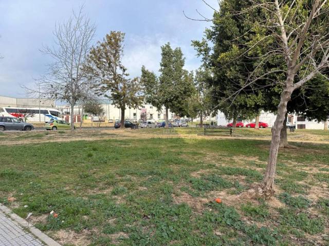Local Comercial en venta en Cartaya