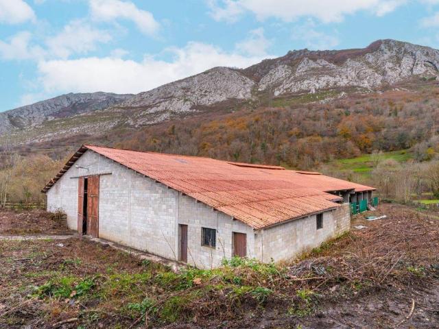 Local Comercial en venta en Caso, Asturias