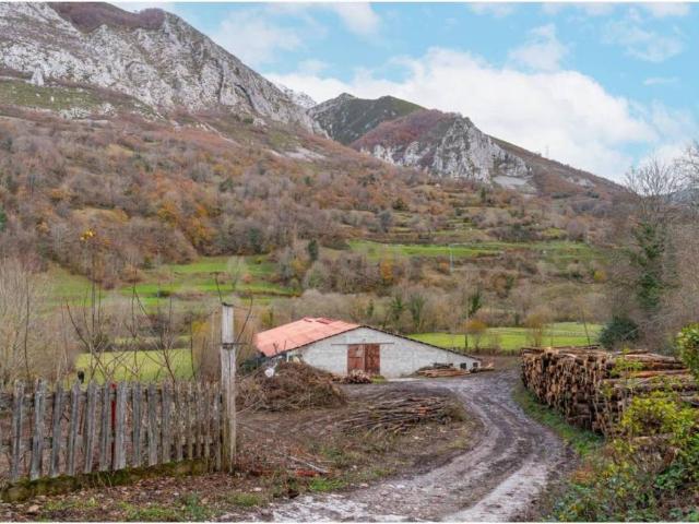 Local Comercial en venta en Caso, Asturias