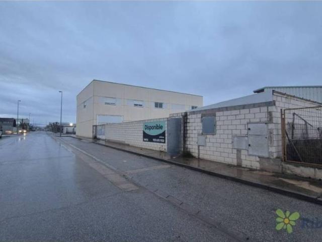 Local Comercial en venta en Cintruénigo, Navarra