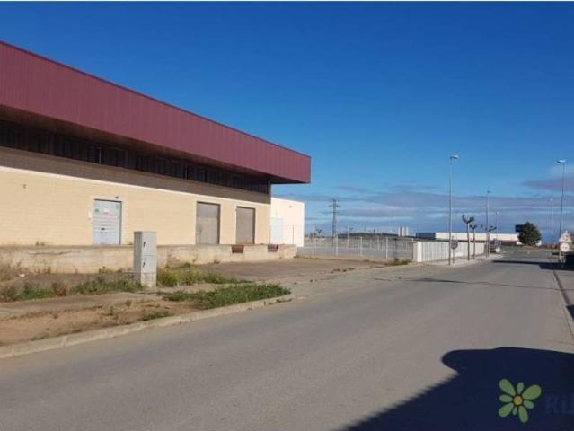 Local Comercial en venta en Cintruénigo, Navarra