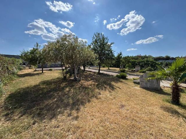 Local Comercial en venta en Ciudad Rodrigo, Castilla y León