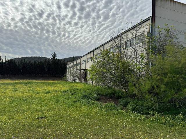 Local Comercial en venta en Valle del Guadalhorce, Andalucía