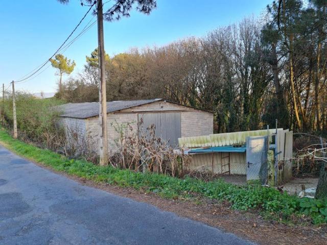 Local Comercial en venta en Coles