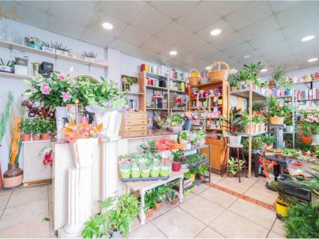 Local Comercial en venta en Collado, Madrid