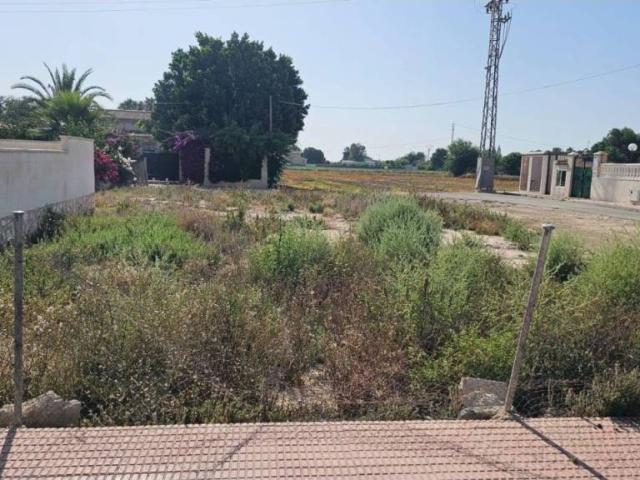 Terreno en venta en el Baix Segura / La Vega Baja, Valencia
