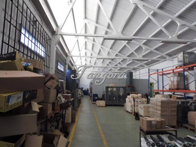 Local Comercial en venta en Derio, Guipúzcoa
