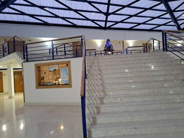 Local Comercial en venta en Txozna auzoa, Derio