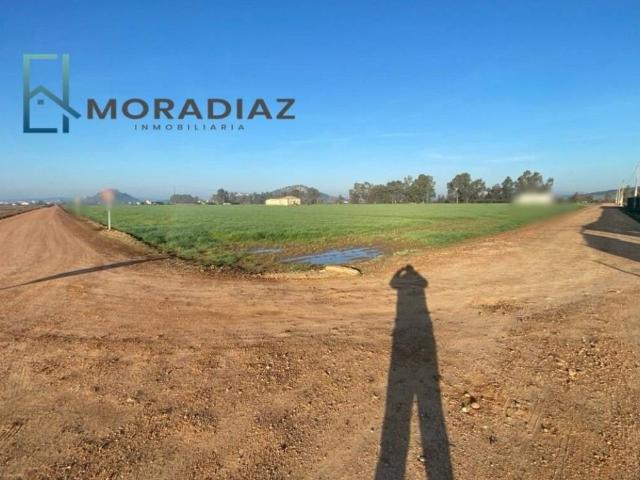 Local Comercial en venta en Don Benito, Badajoz