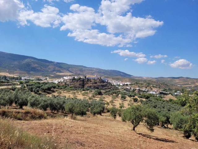 Local Comercial en venta en Sierra de las Nieves, Andalucía