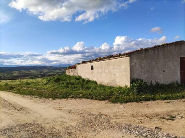 Local Comercial en venta en El Molar, Madrid