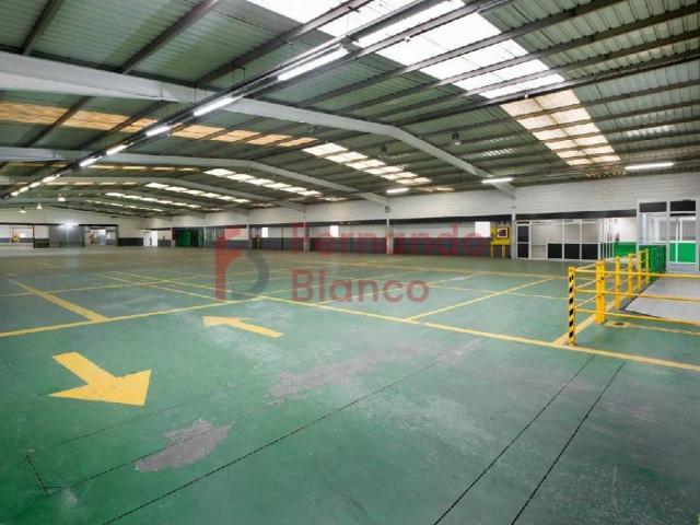 Local Comercial en venta en Erandio