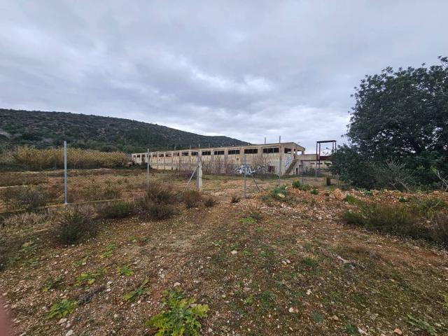 Local Comercial en venta en Freginals, Tarragona