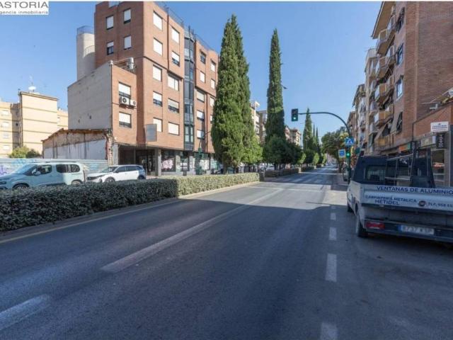 Local Comercial en venta en Chana, Comarca de la Vega de Granada