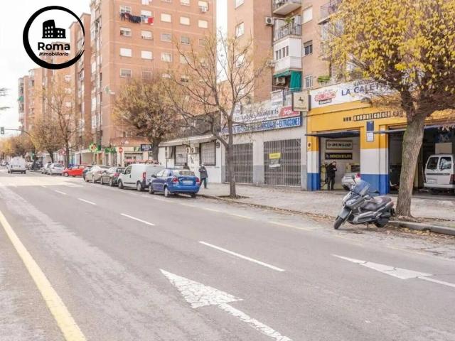 Local Comercial en venta en Chana, Comarca de la Vega de Granada