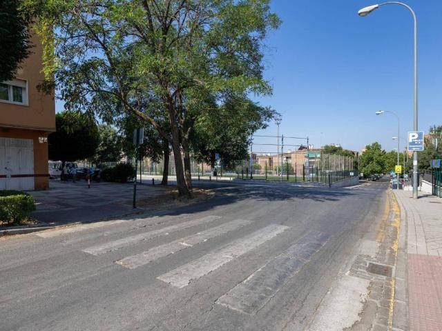 Local Comercial en venta en Beiro, Comarca de la Vega de Granada