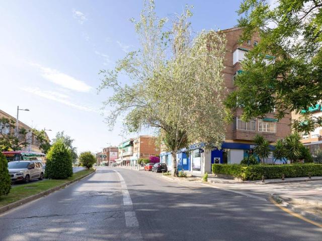 Local Comercial en venta en Beiro, Comarca de la Vega de Granada