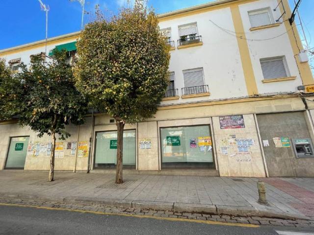 Local Comercial en venta en Rosaleda, Comarca de la Vega de Granada