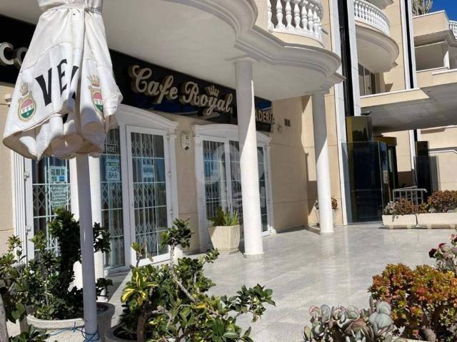 Local Comercial en venta en Guardamar Del Segura